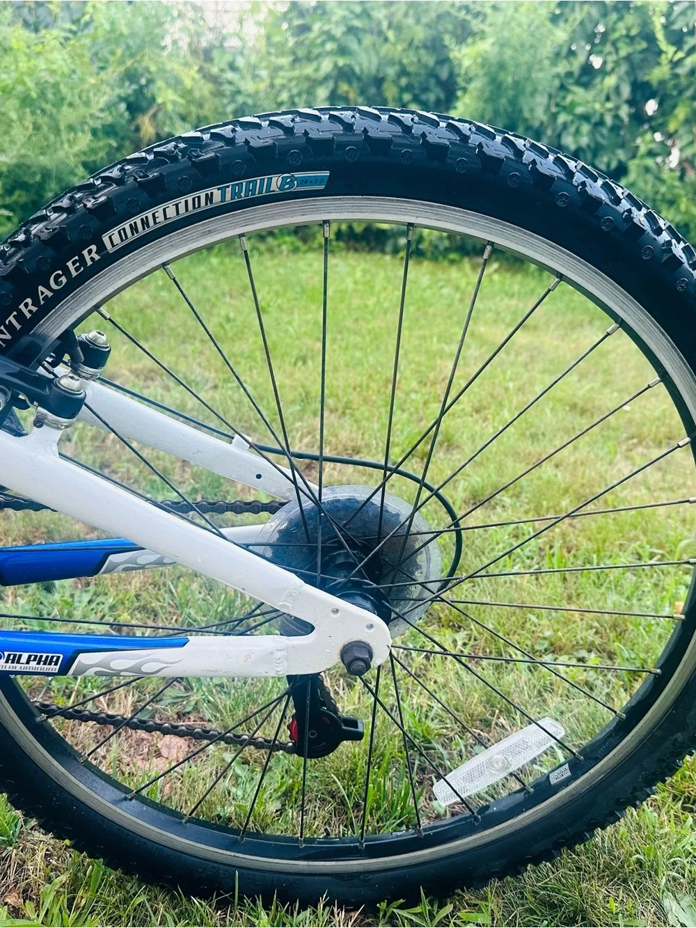 Trek Kids Blue and White Youth Mountain Bike - Sturdy Ride for Kids